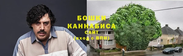 ешки Медногорск