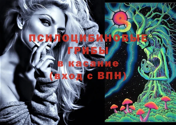 ешки Медногорск