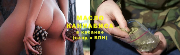 ешки Медногорск
