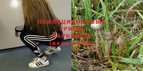 ешки Медногорск